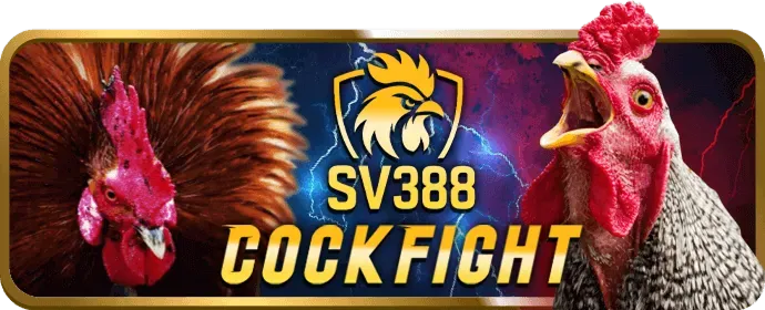 Tiền thưởng chào mừng ok8636